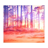 Artistic CVI (Print Only) thumbnail