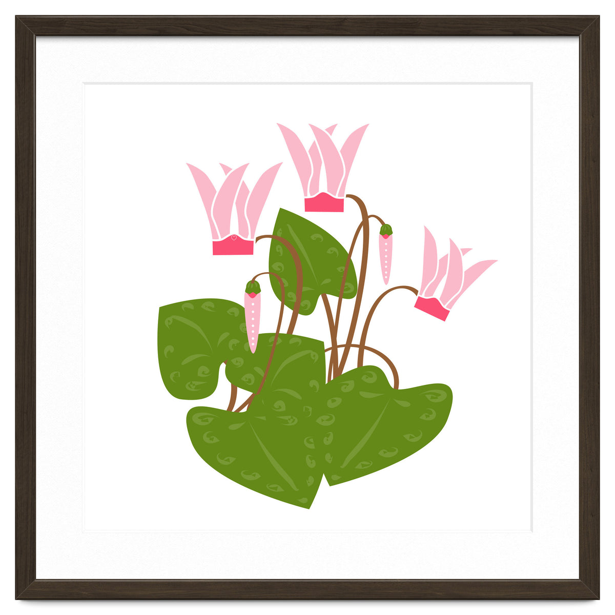 Cascading Cyclamen