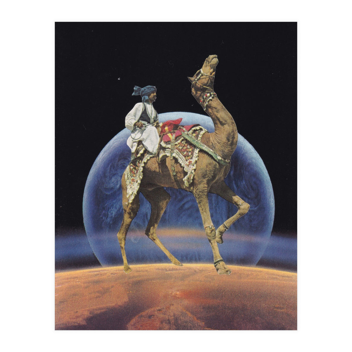 Dancing Camel (Print Only)