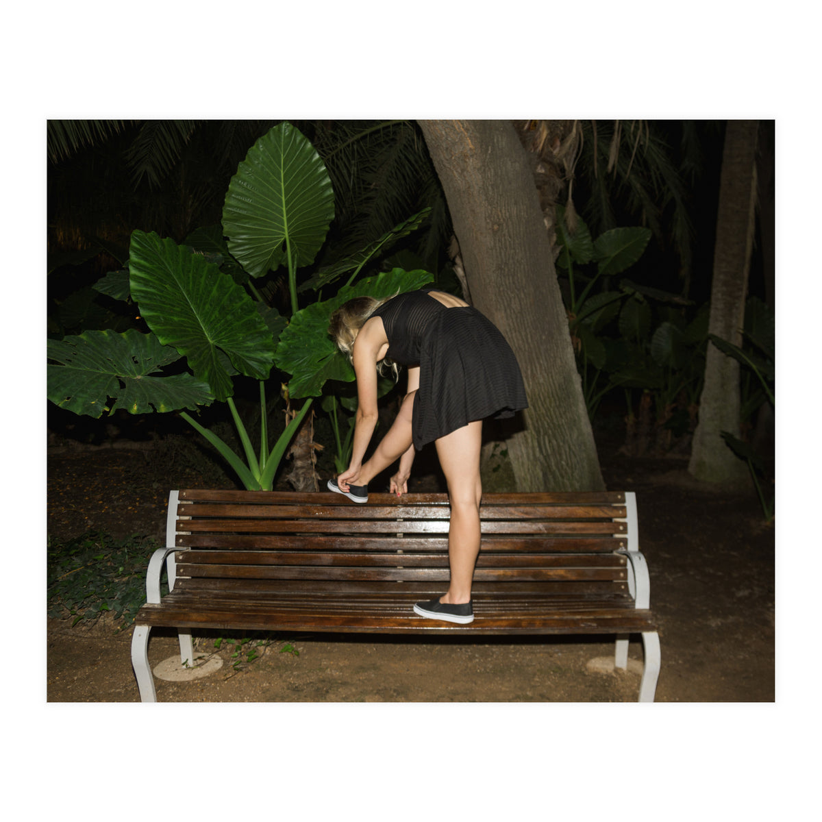 Diary of a Stalker (Print Only)