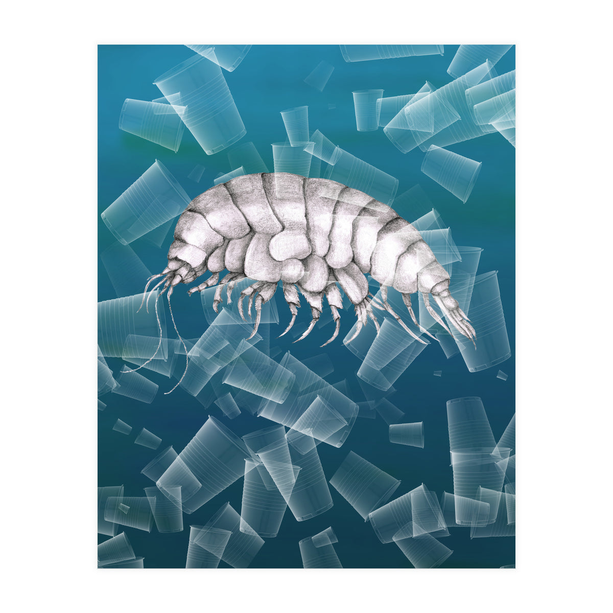 Eurythenes Plasticus (Print Only)