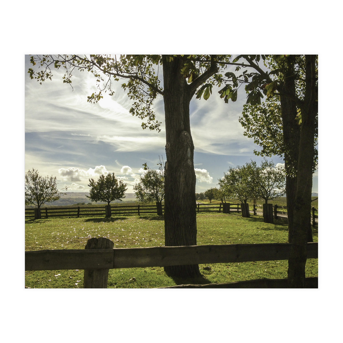 Bucolism 2 (Print Only)