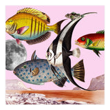 Fish World Pink (Print Only) thumbnail