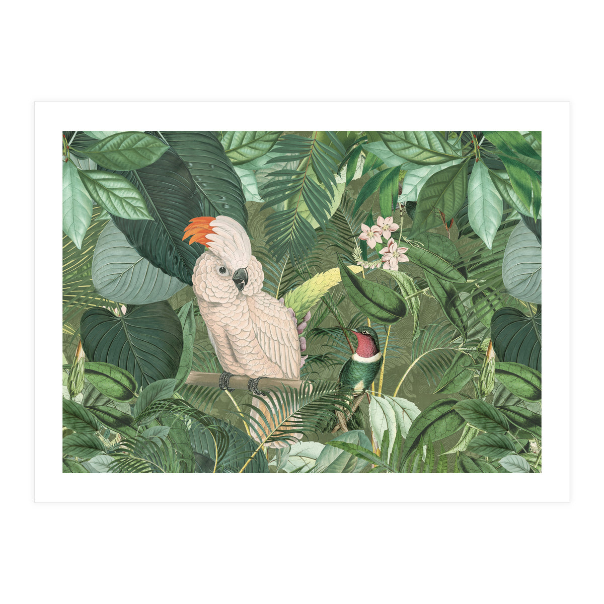 Jungle Friends (Print Only)