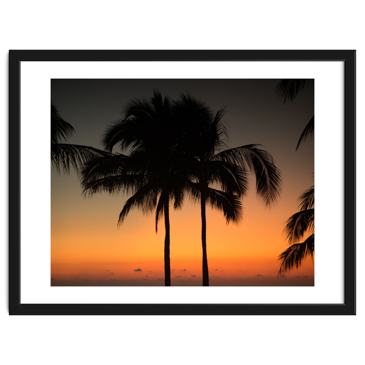 Mexico, November nights