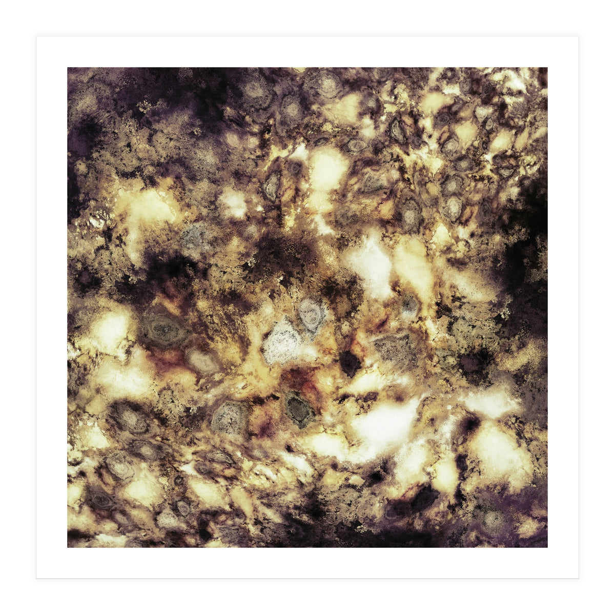 Demolition (Print Only)