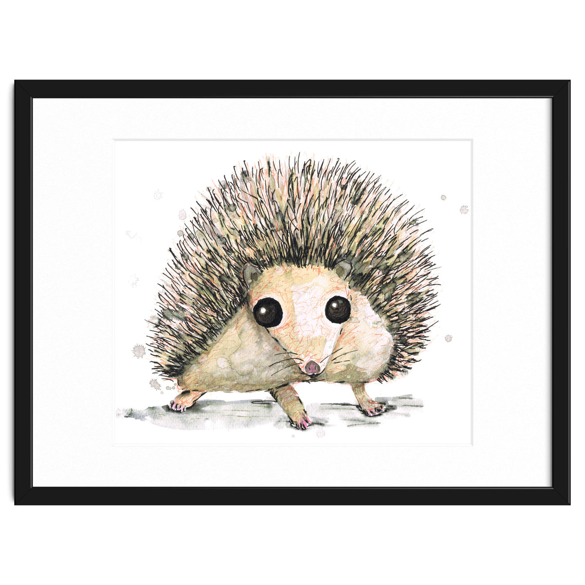 Hedgehog
