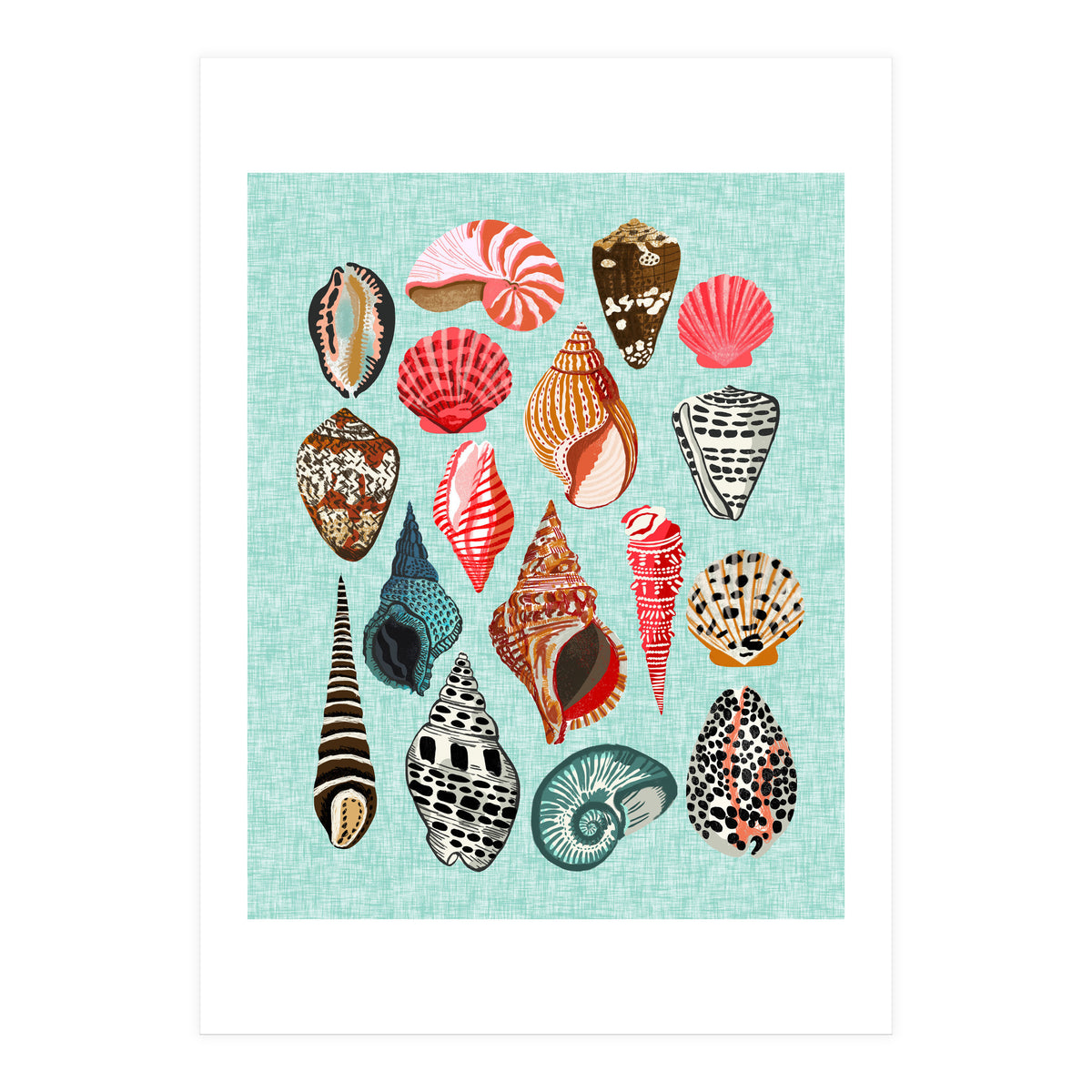 Seashells (Print Only)