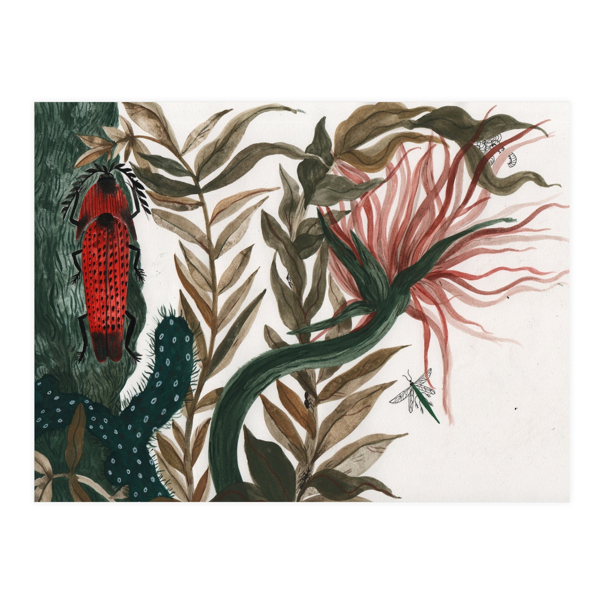 Insects (Print Only)