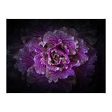Backyard Flowers No 42 Color Version (Print Only) thumbnail