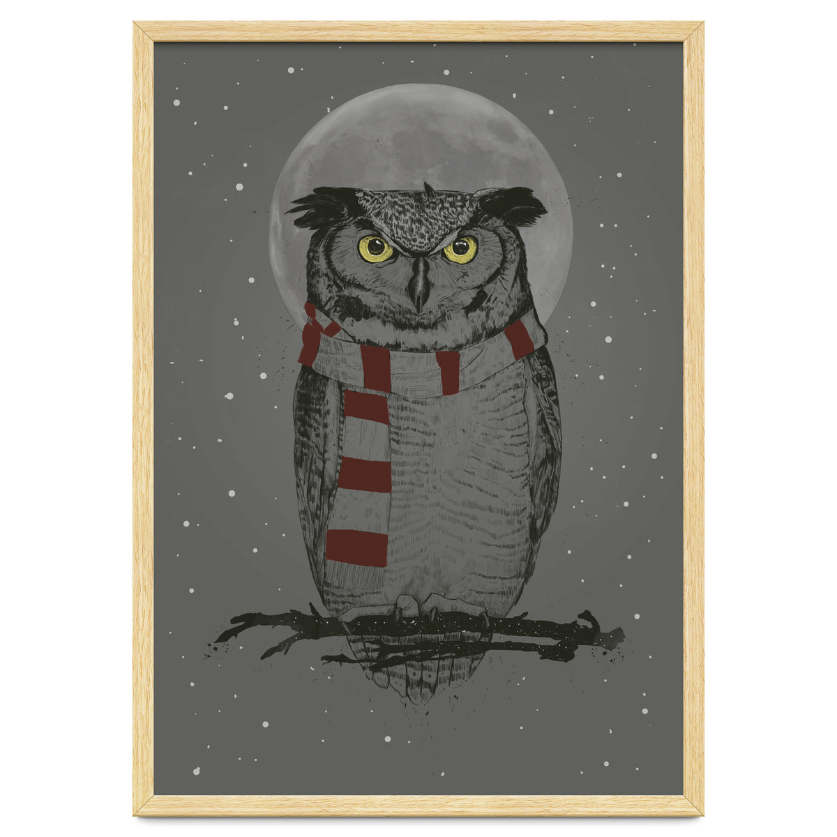 Winter Owl