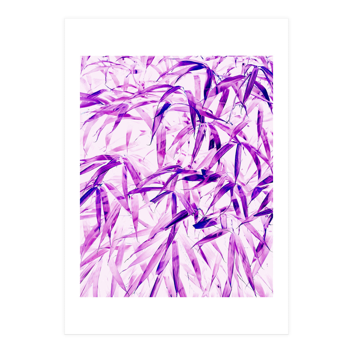 Ultra Violet (Print Only)