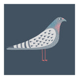 Sarcastic Pigeon (Print Only) thumbnail