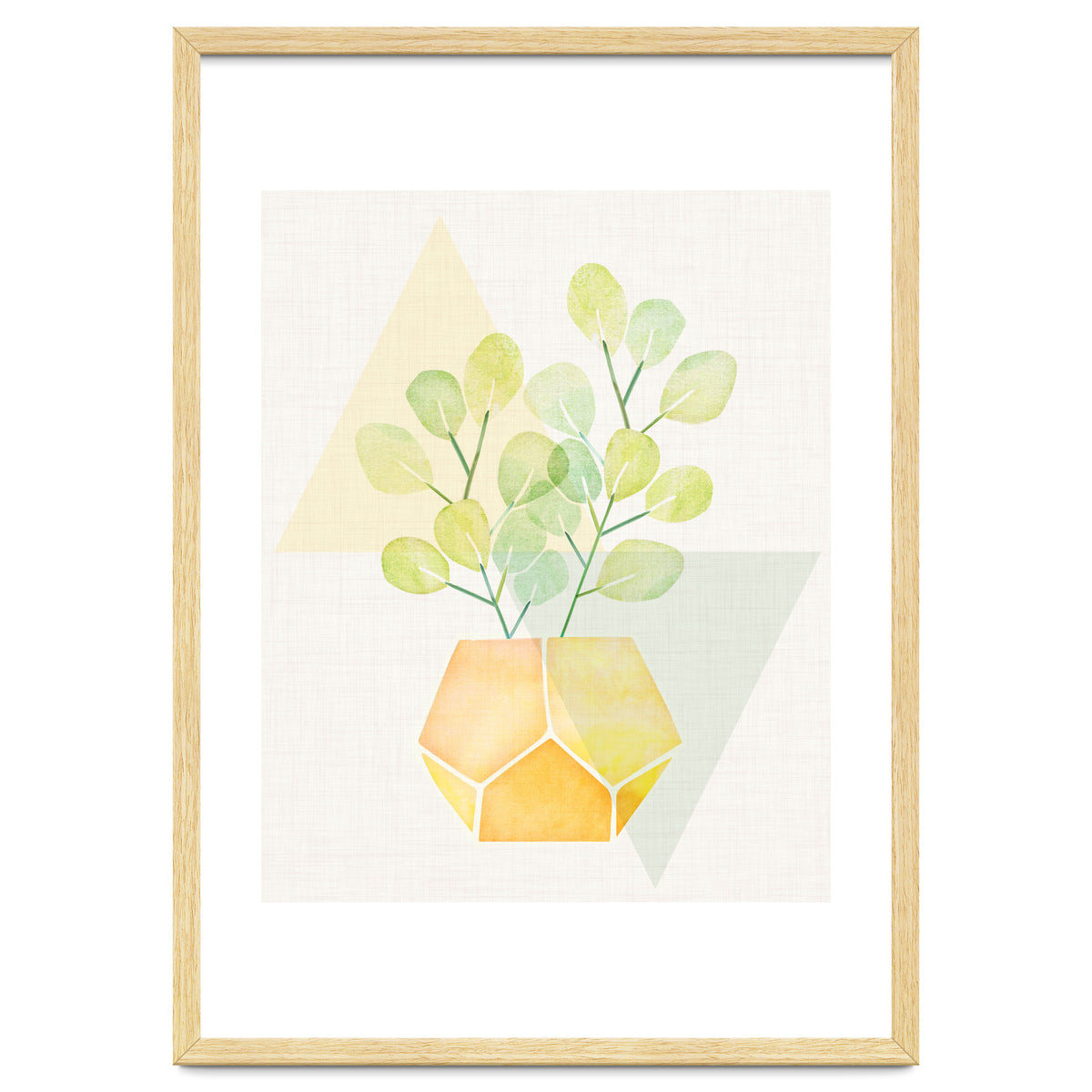 Geometry and House Plant