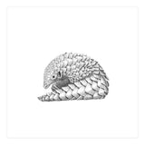 Pangolin (Print Only) thumbnail
