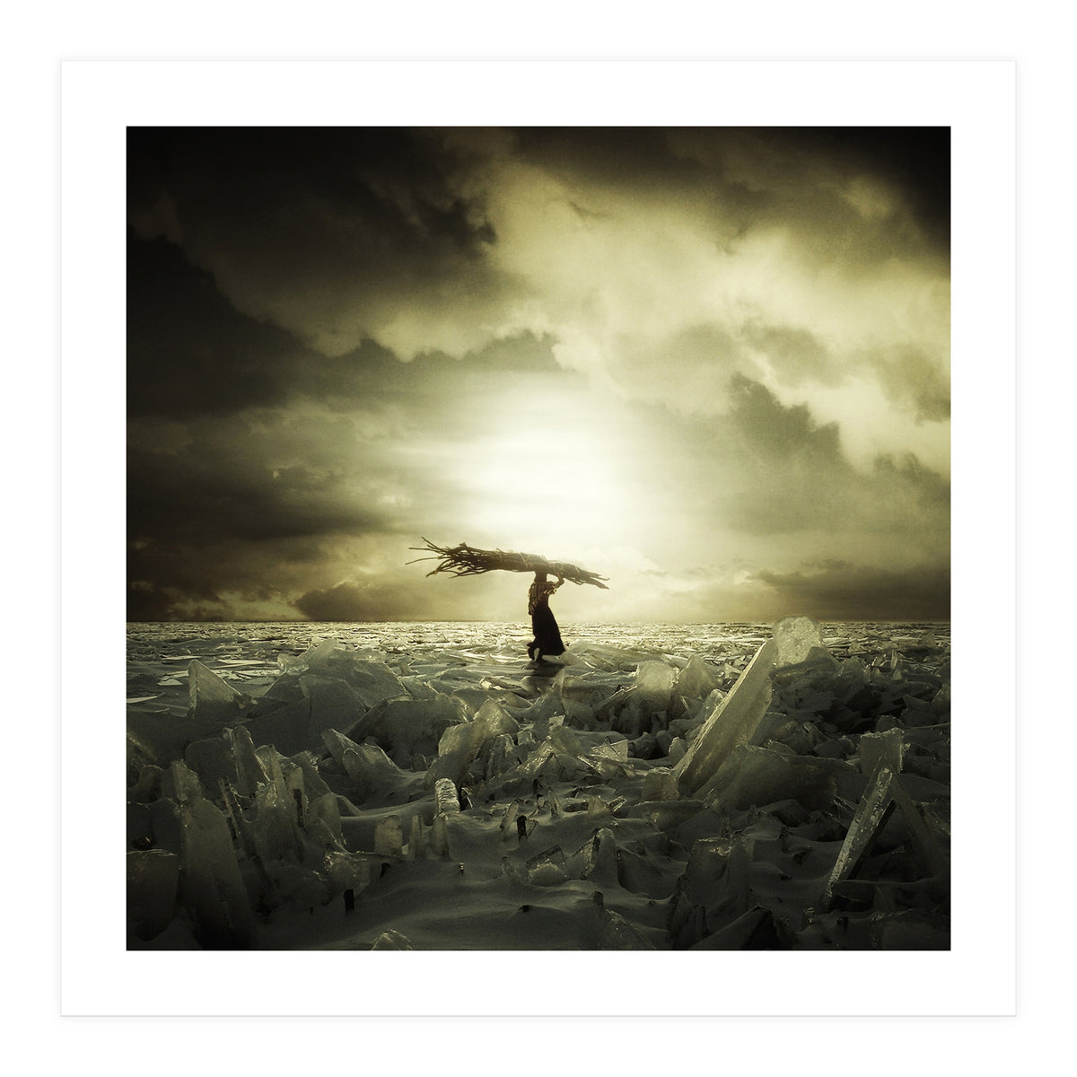 Frozen Nation (Print Only)