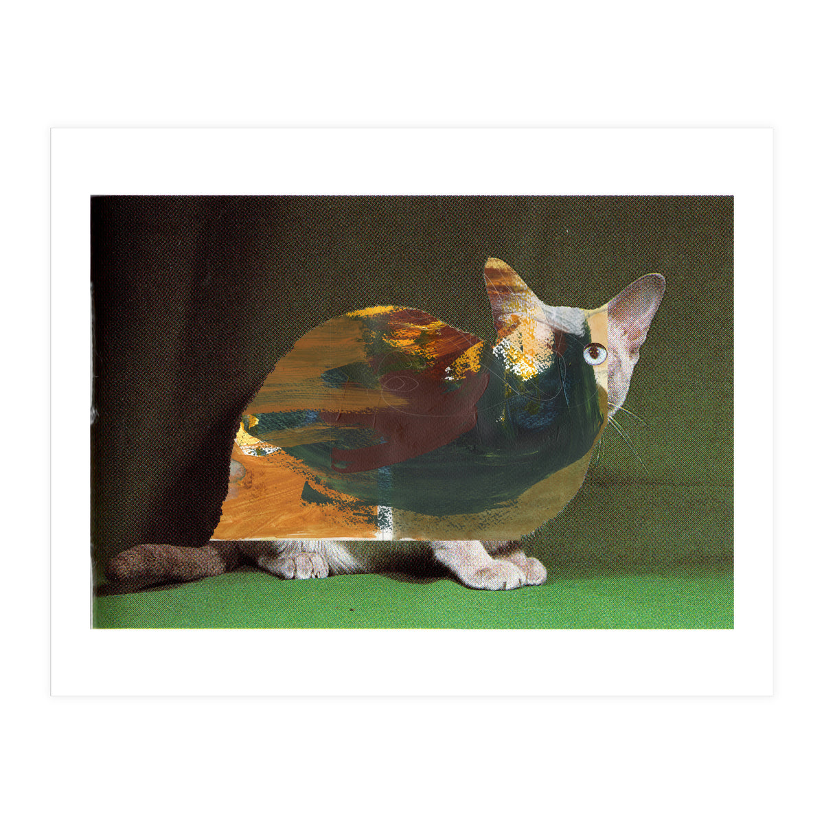 Color Cat (Print Only)