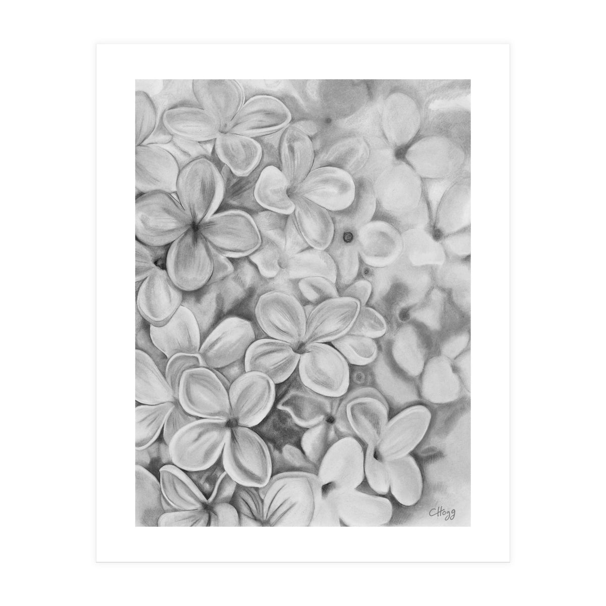 The Essence Of Spring in Monochrome (Print Only)