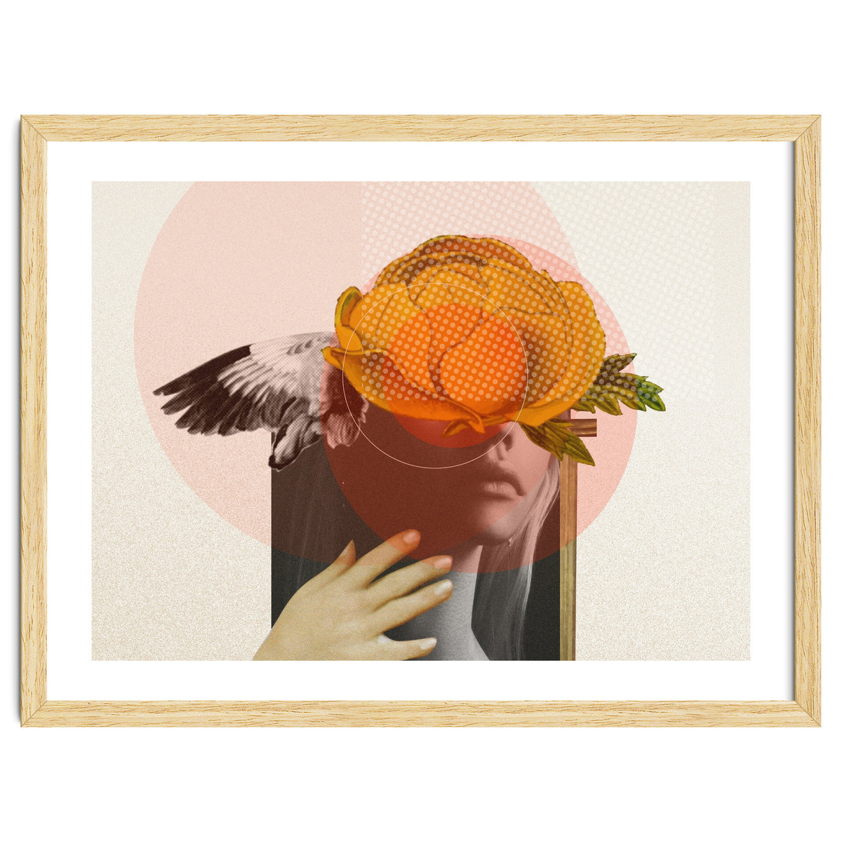 Dreamland Division · C