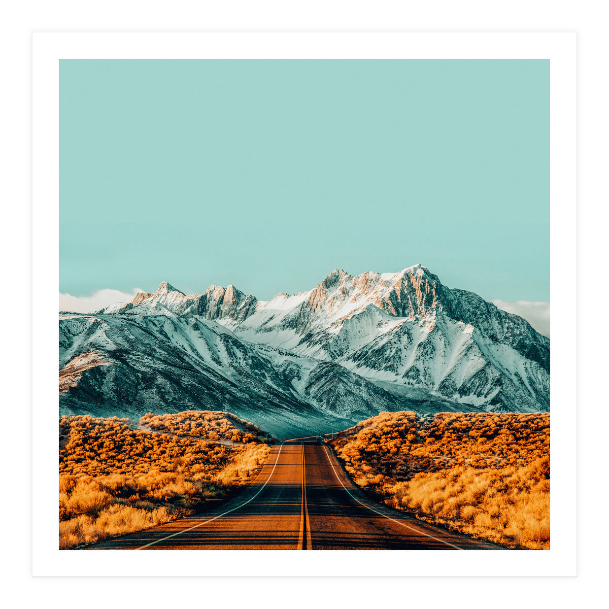 The Road Less Traveled (Print Only)