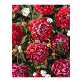 Blossom Love (Print Only) thumbnail