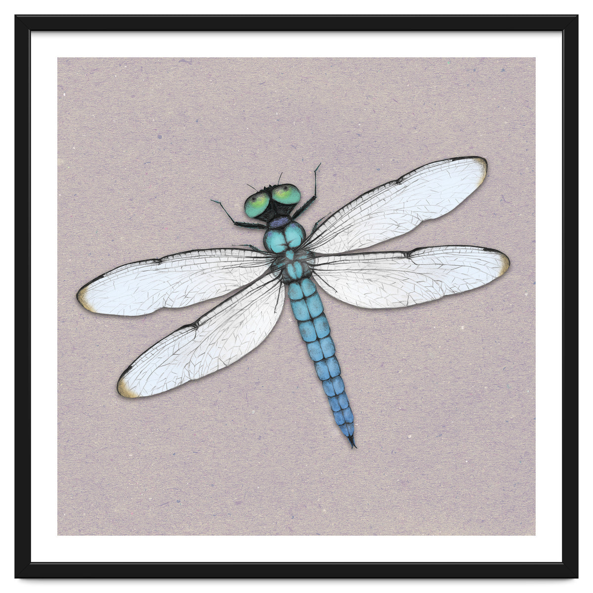 Blue dragonfly