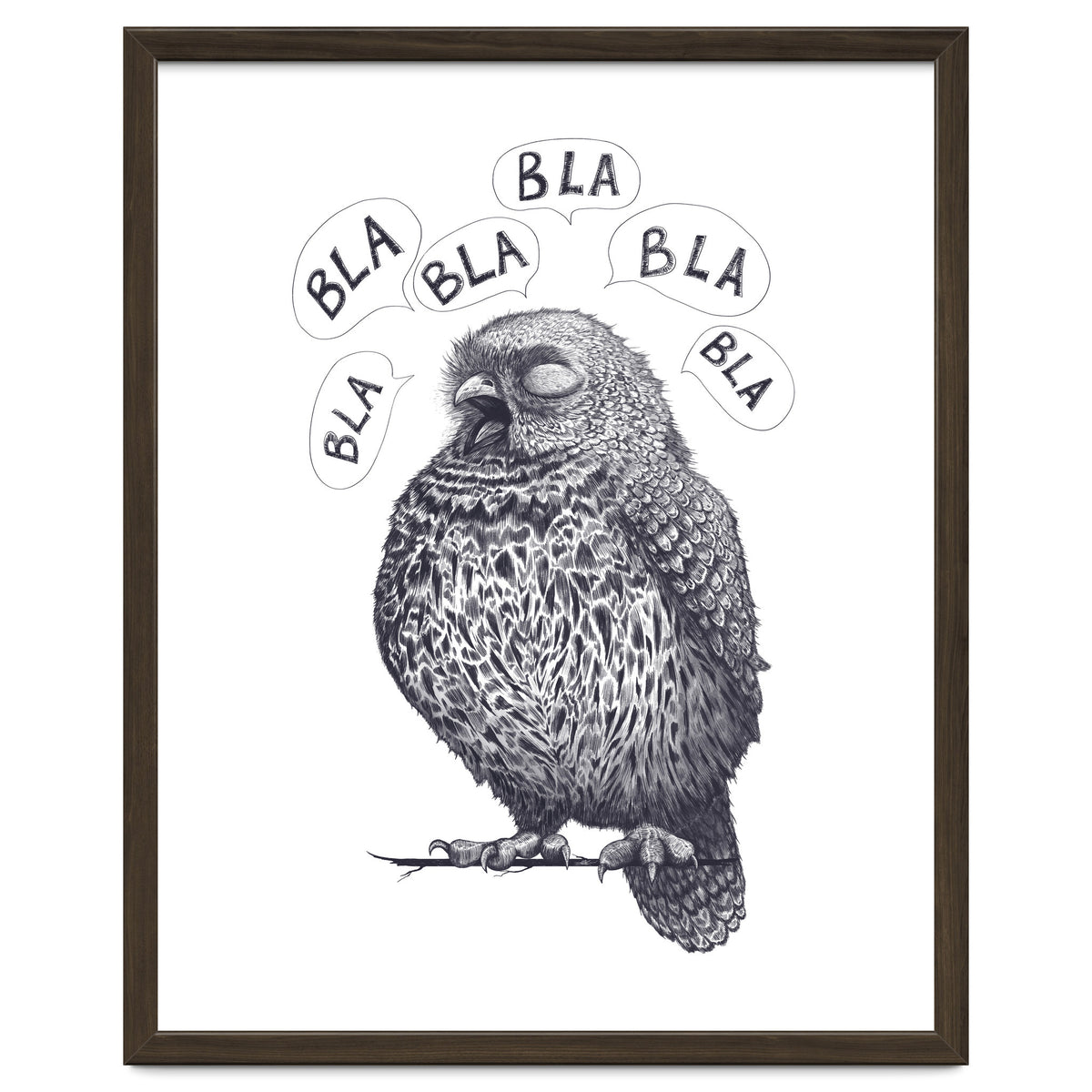Owl Bla Bla Bla