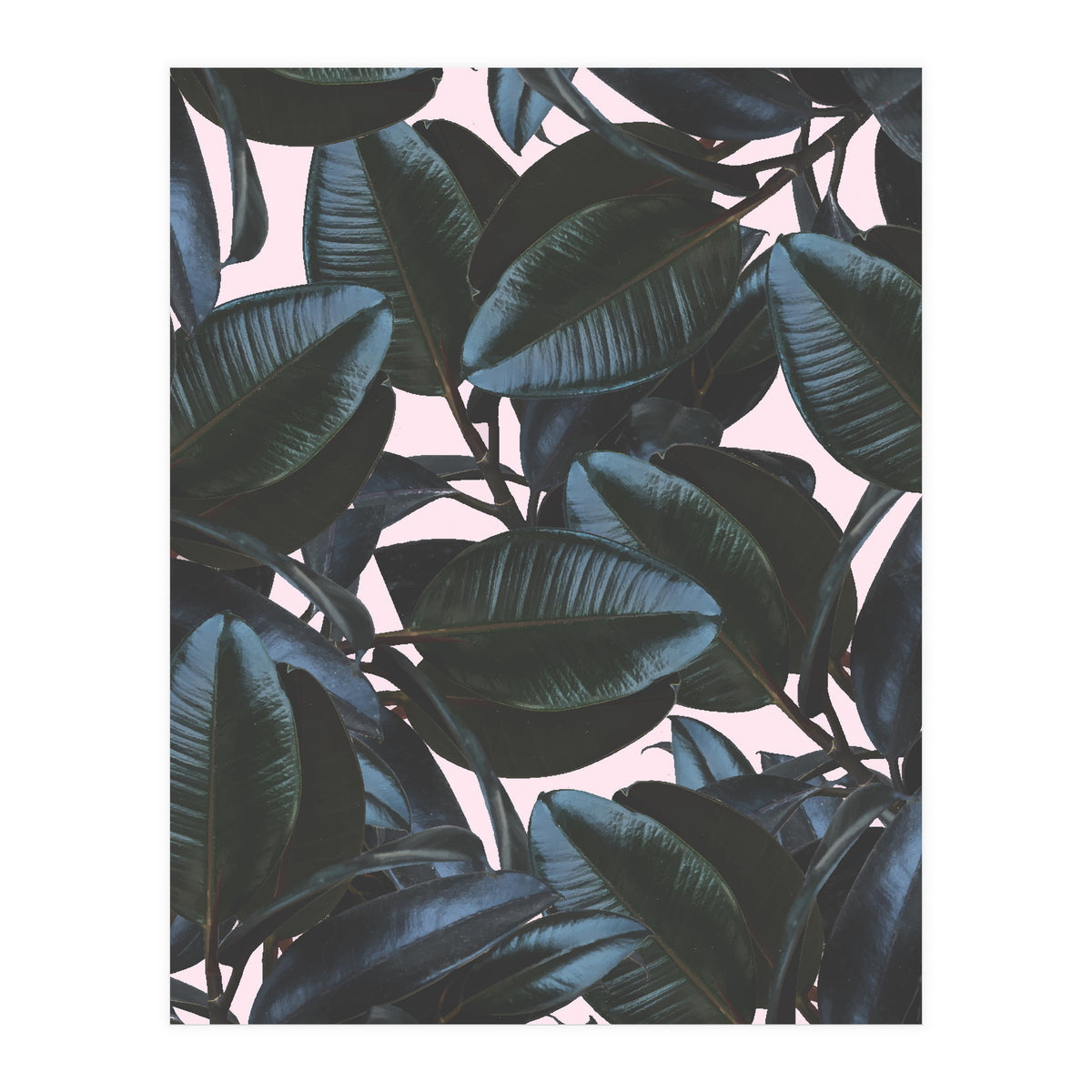 Charming Impression (Print Only)