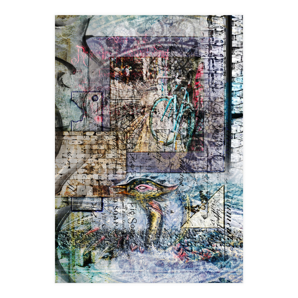 The Cellar (Print Only)