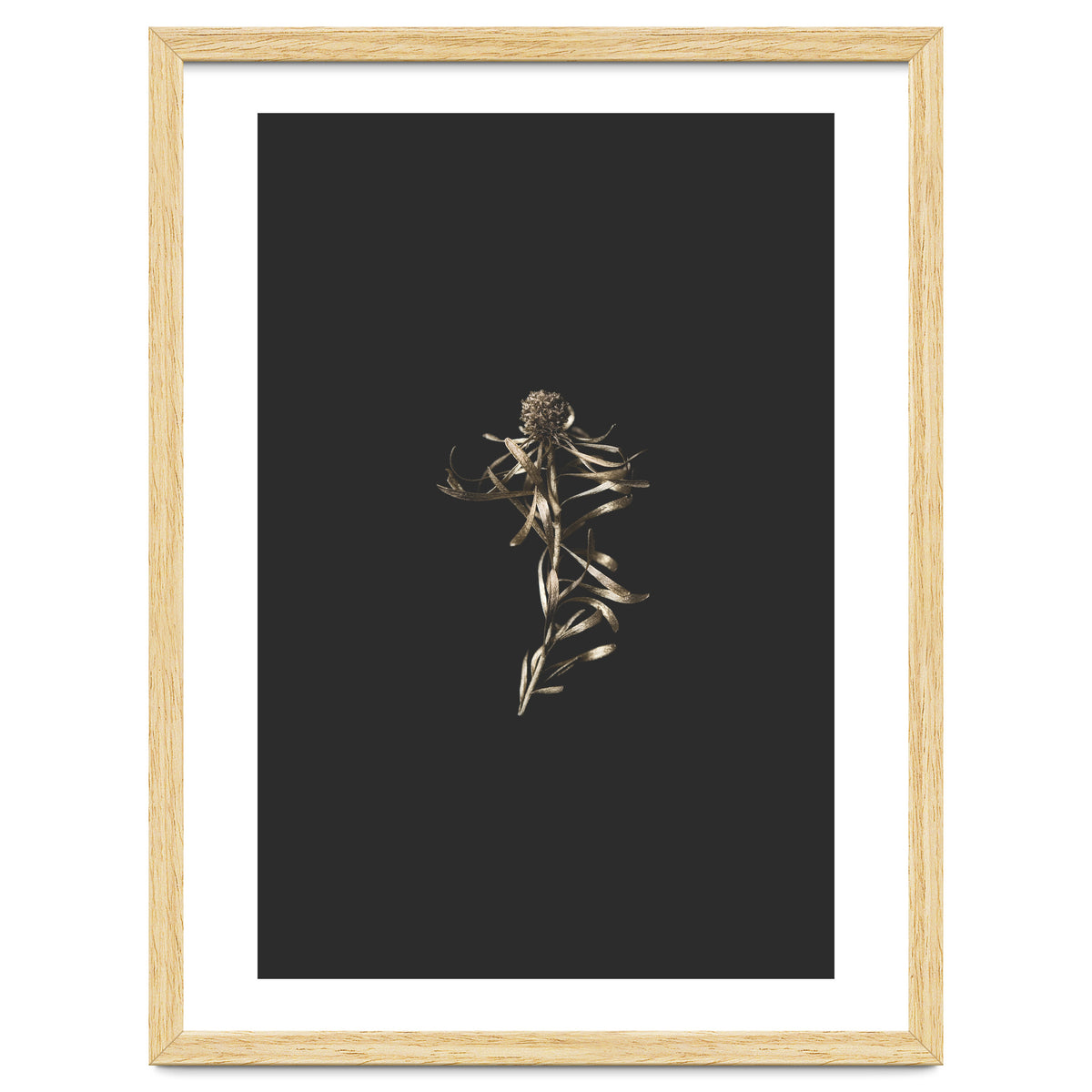 Magical Golden Fynbos