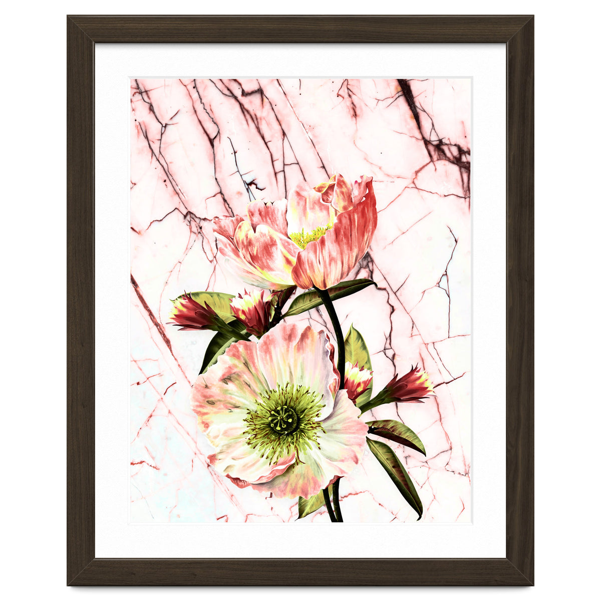 Flowering on pink marble