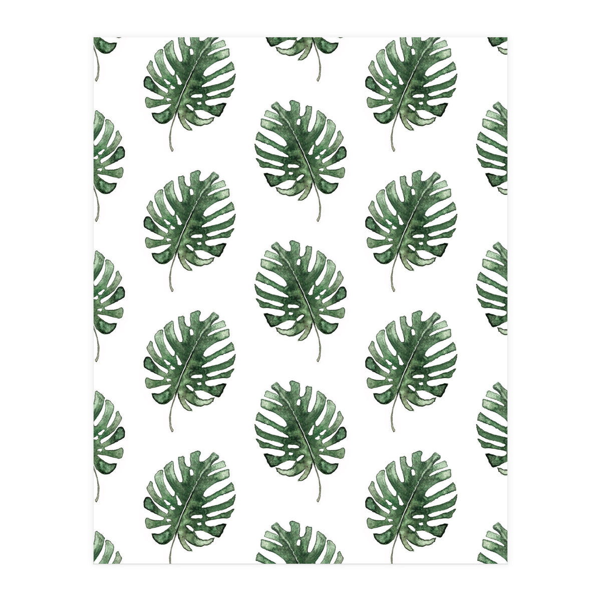 Monstera Leaves (Print Only)