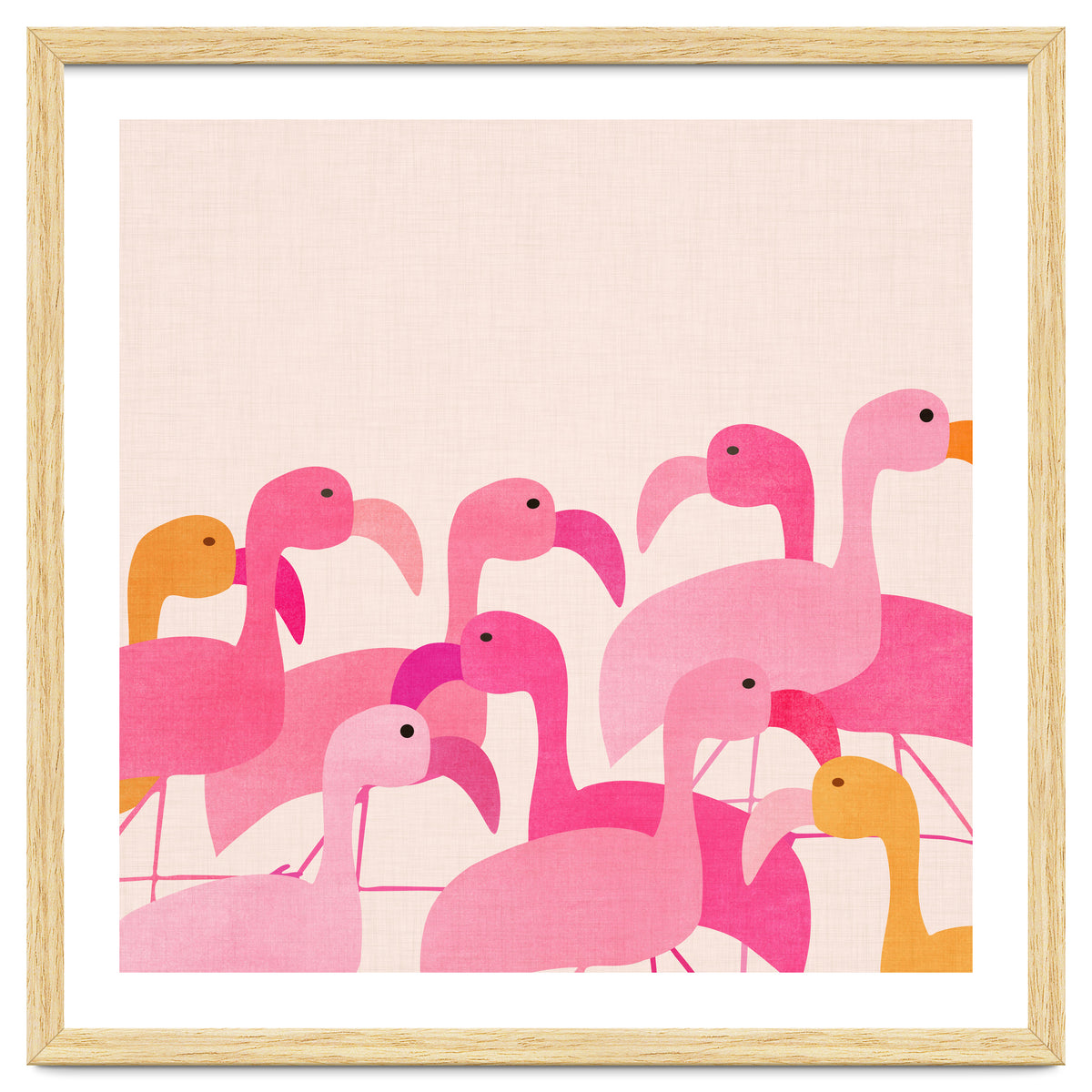 Florida Flamingos