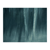 spell (Print Only) thumbnail