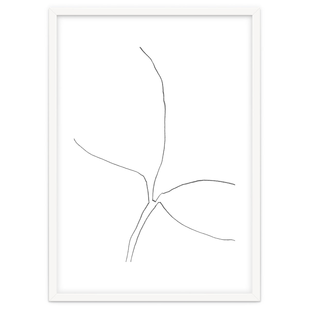 Seedling Leaning Right