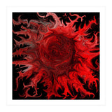 Midnight Sun (Print Only) thumbnail