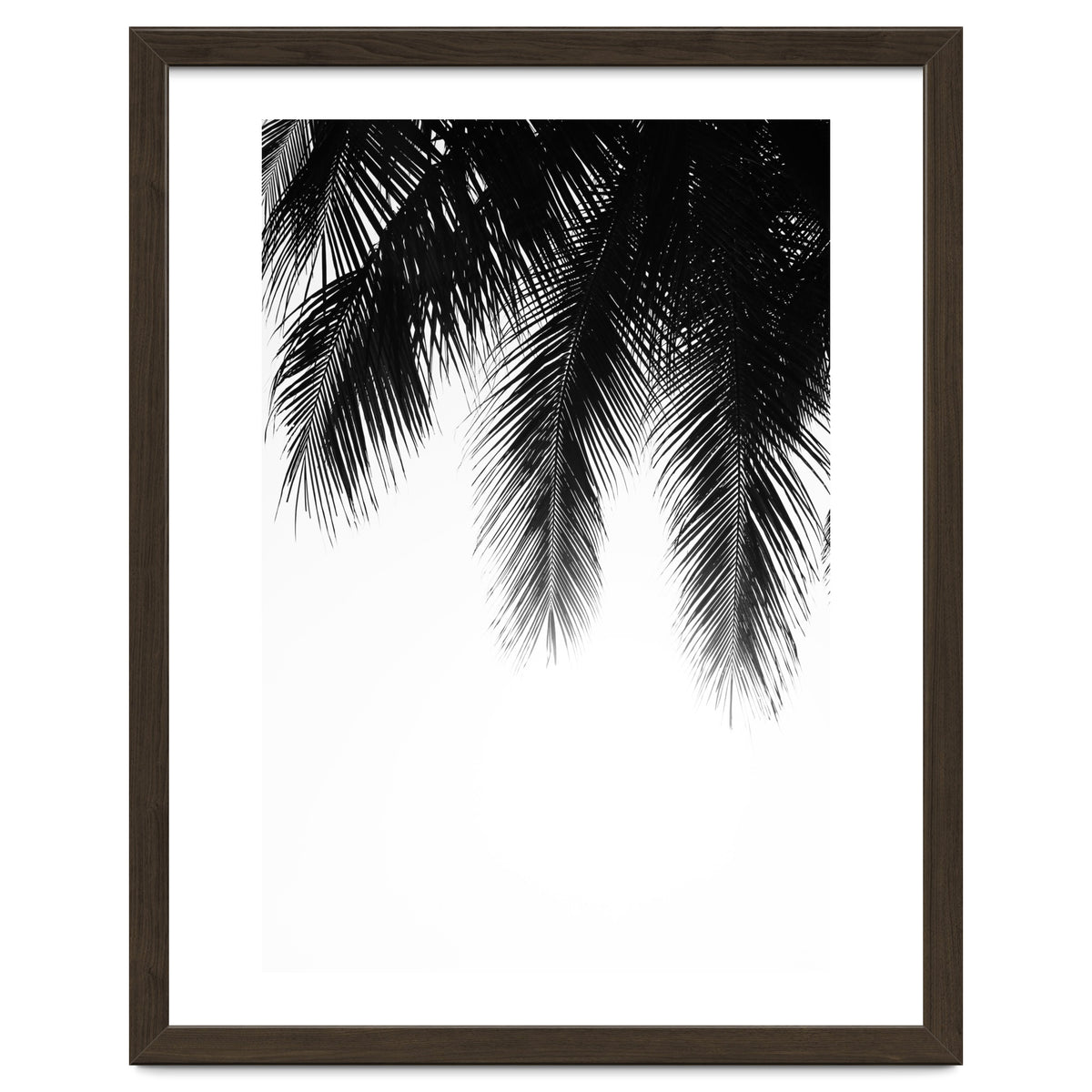 Palm leaves