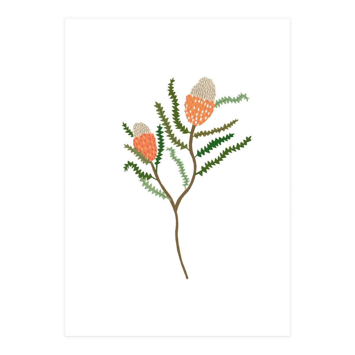 Banksia Flowers (Print Only)