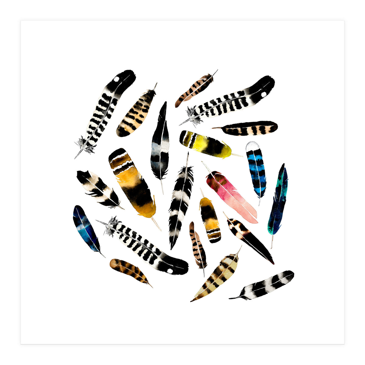 Feather Fusion  (Print Only)