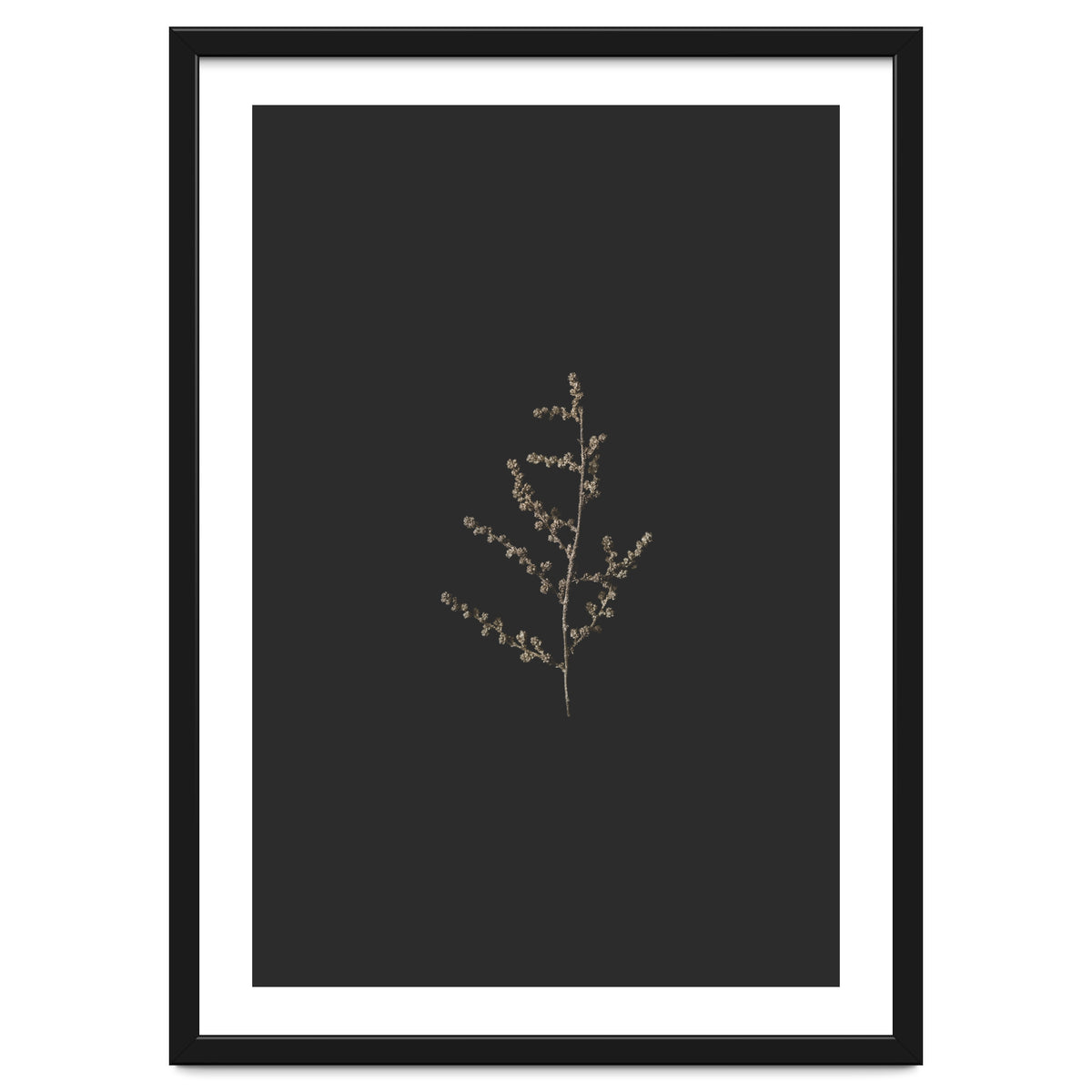 Dainty Botanicals in Gold and Black