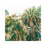 Newport (Print Only) thumbnail