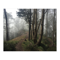 Mt. Davidson II (Print Only)