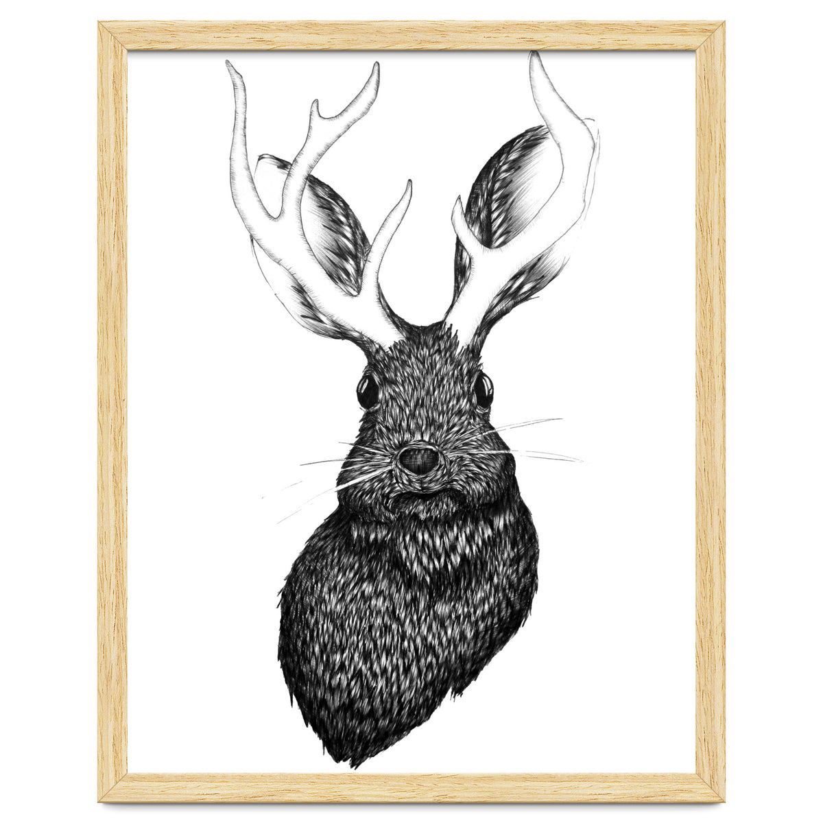 Jackalope