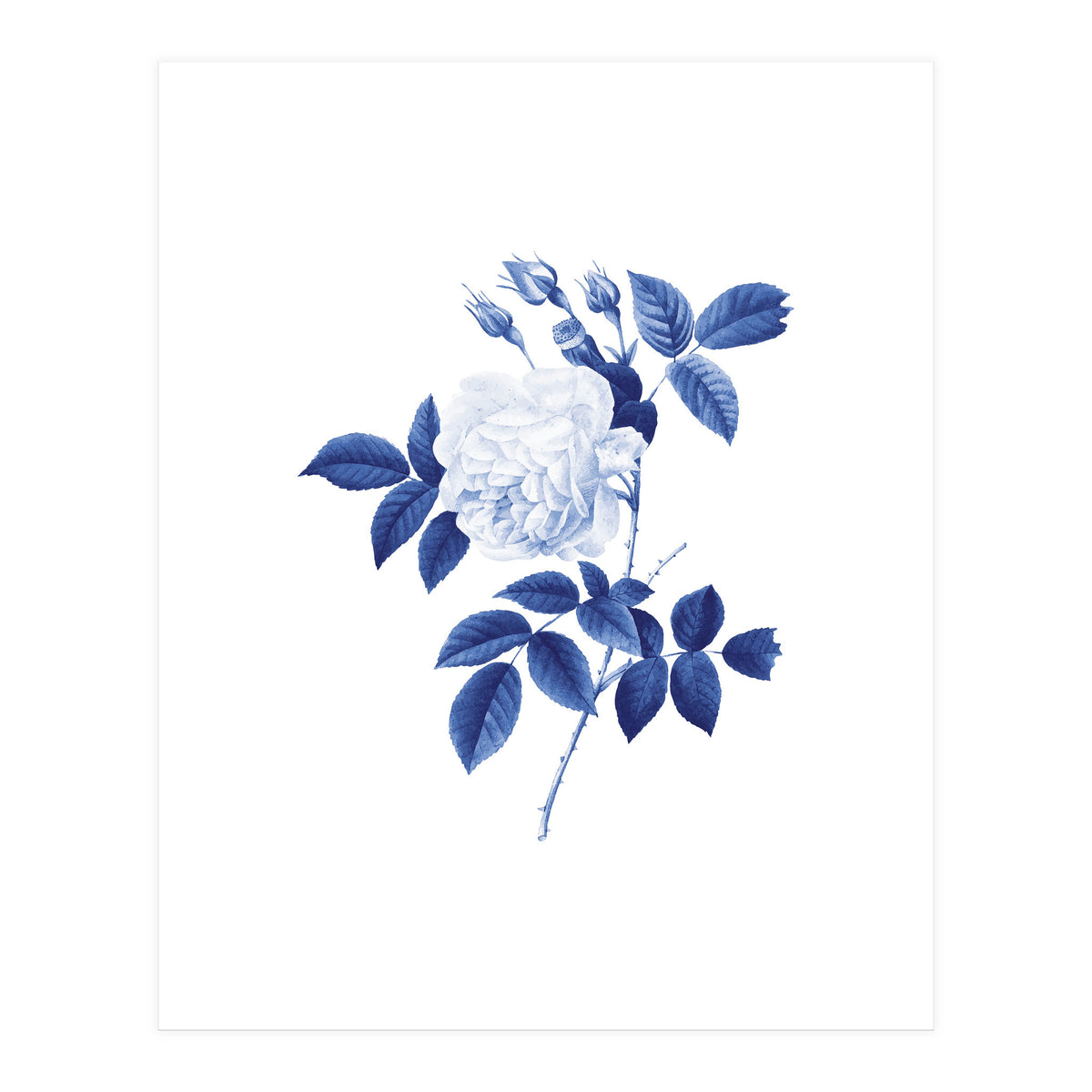 Blue Botanic II (Print Only)