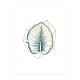 Geometry And Nature II (Print Only) thumbnail