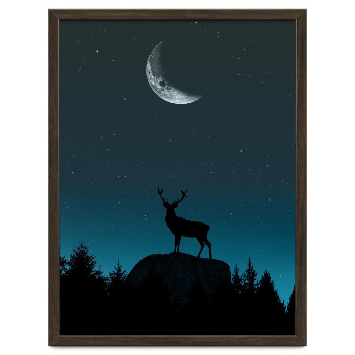 Wild Nature - Nocturne