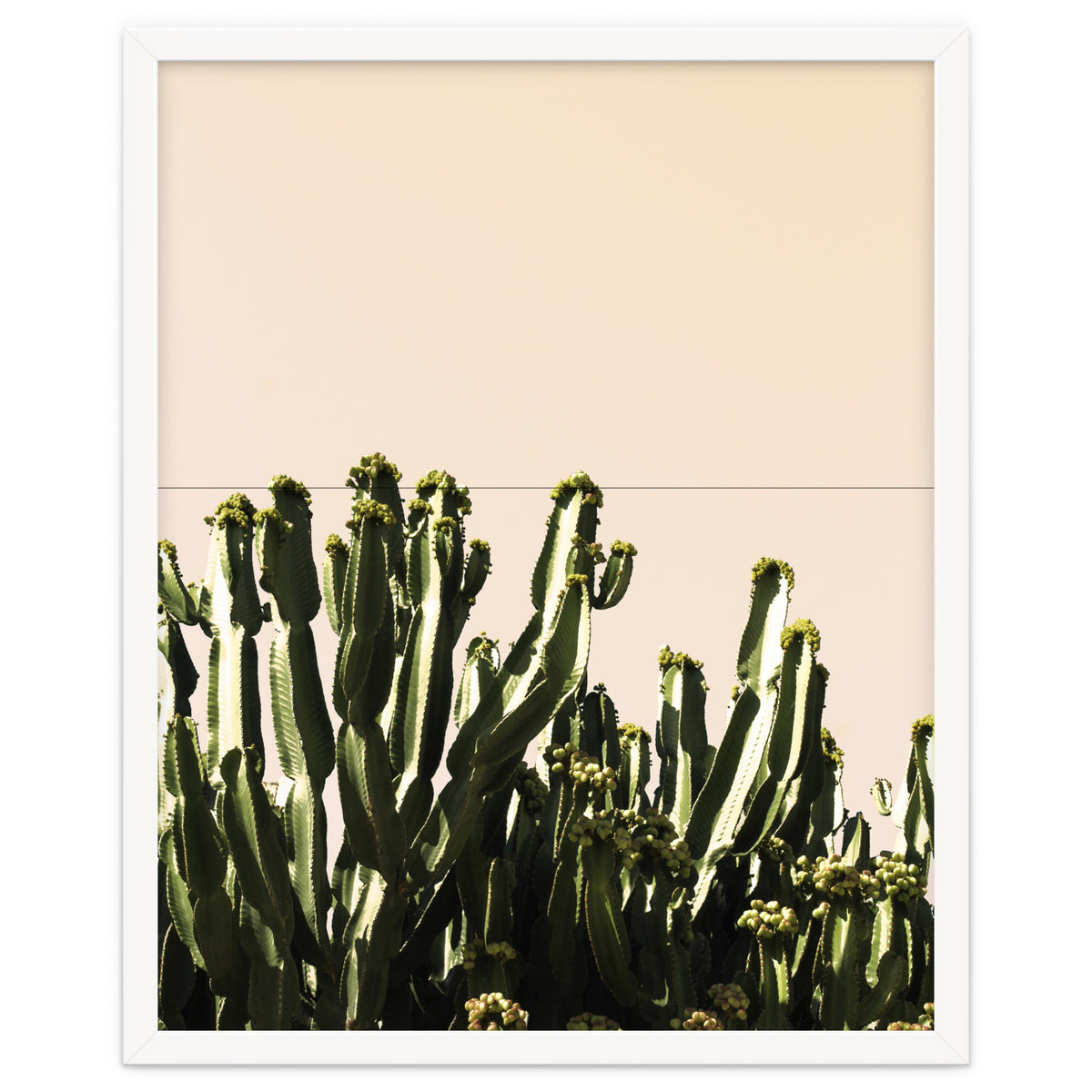 Cactus Vertical Color