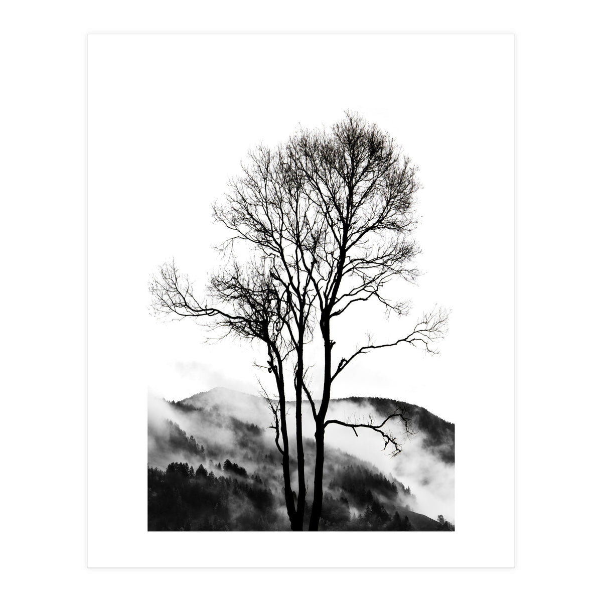 Rocky Mountains (Print Only)