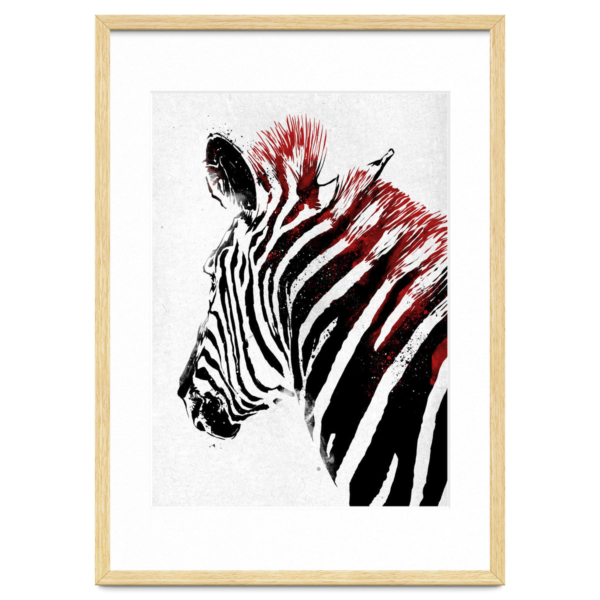 Zebra