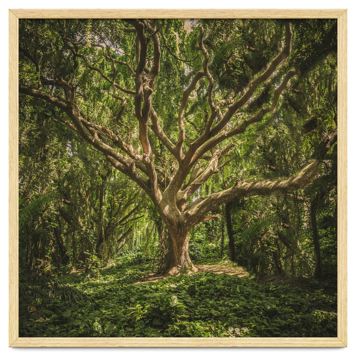 Spirits inside the wood